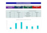 create a professional excel dashboard and data anaysis